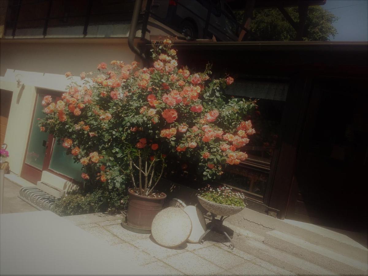 Appartement - Ferienwohnungen - Gaestehaus Gabriele Drobollach am Faakersee Exterior photo